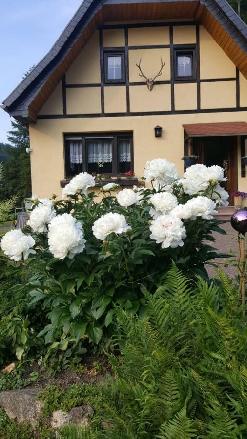 Birkenhain Stolberg i. Harz Exteriör bild